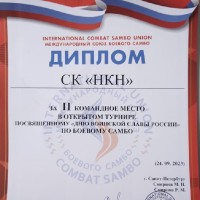 «Боевое самбо»