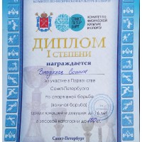 «Боевое самбо»