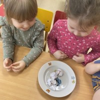 «Бумажные цветы»