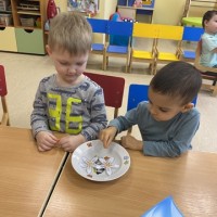 «Бумажные цветы»