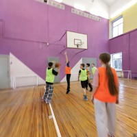 Дружеская игра