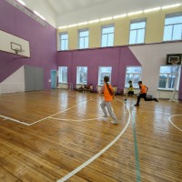 Дружеская игра