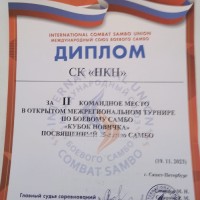 «Кубок новичка»