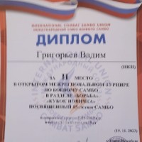 «Кубок новичка»