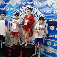 Кубок новичка по профессиональному боевому самбо