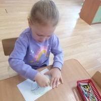 Лес - наше богатство