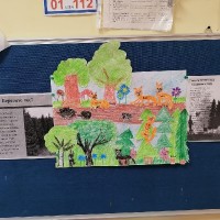 Лес - наше богатство