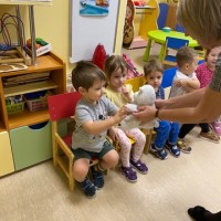 Международный день полярного медведя