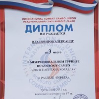 «МРТ по боевому самбо»