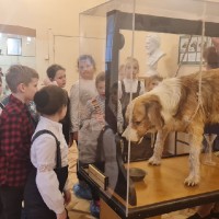 «Музей Гигиены»