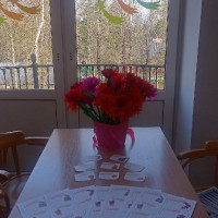 «Окна Победы»