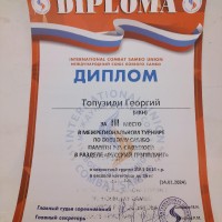 Основы восточных единоборств
