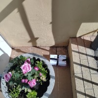 Тренировка по антитеррористической защищённости объекта