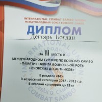 Турнир по боевому самбо