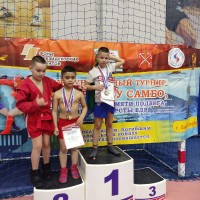 Турнир по боевому самбо