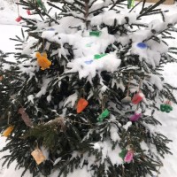 Украшаем ёлочку