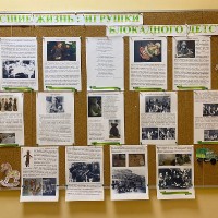 В детском саду прошли мероприятия, посвященные 80-летию полного снятия блокады Ленинграда
