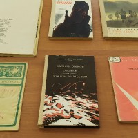 Выставка в библиотеке