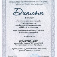 достижения