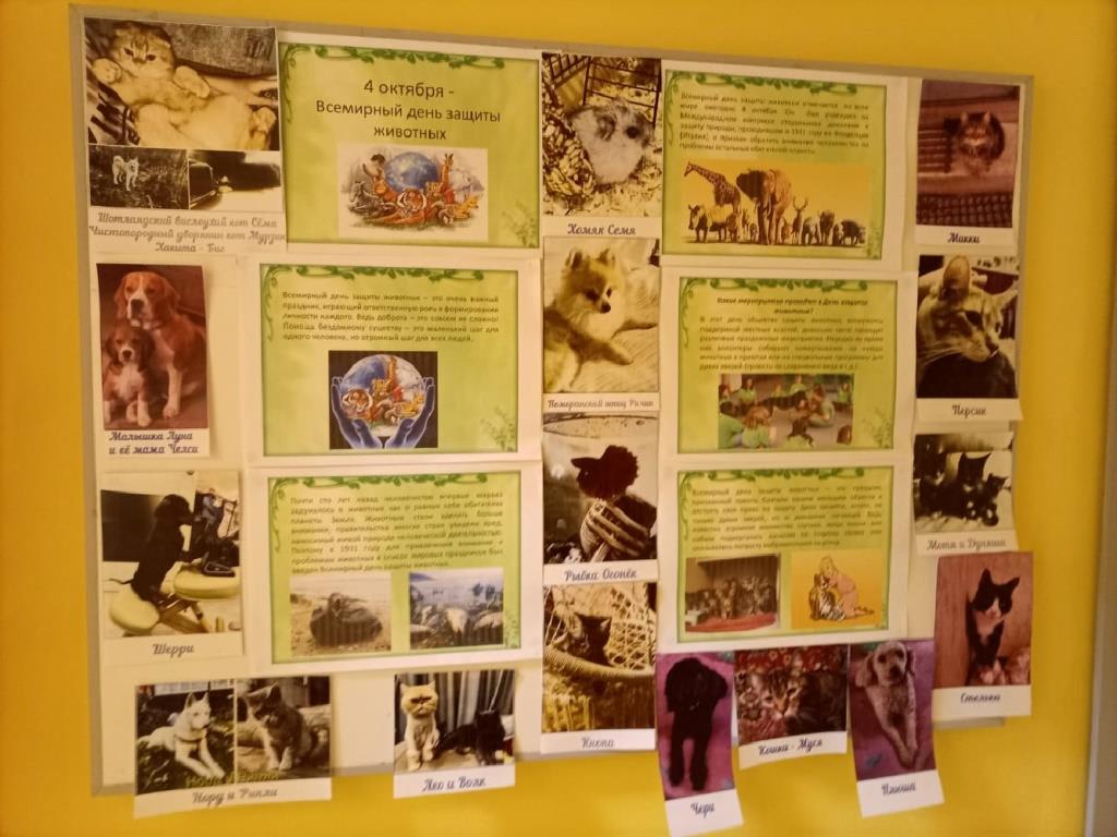 Документ0-0008 Документ0-0008