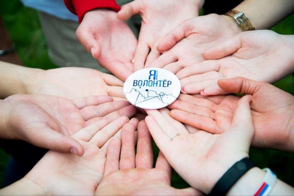 image-15-11-24-07-04-1. image-15-11-24-07-04-1.