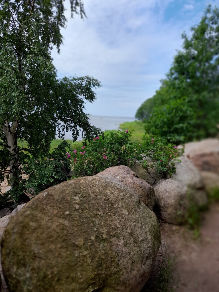 p2VtlPSn9GQ p2VtlPSn9GQ