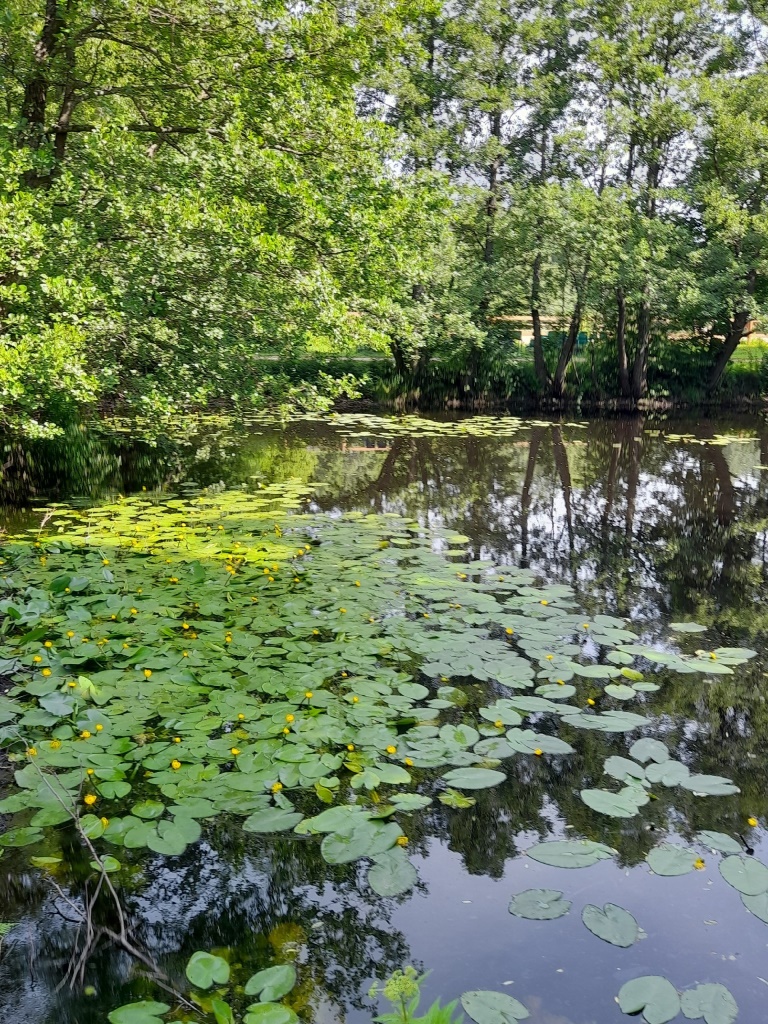 d575r6AB_Jk d575r6AB_Jk