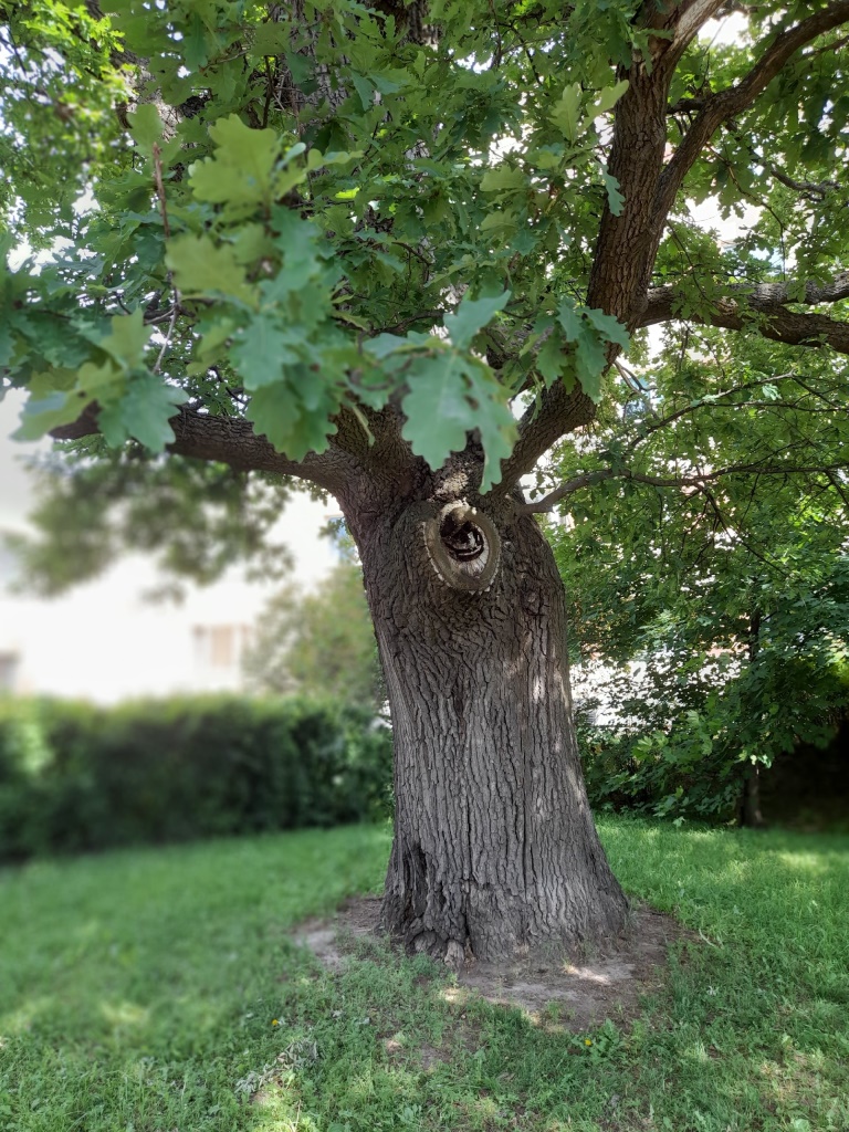 IekS0kYgrsk IekS0kYgrsk